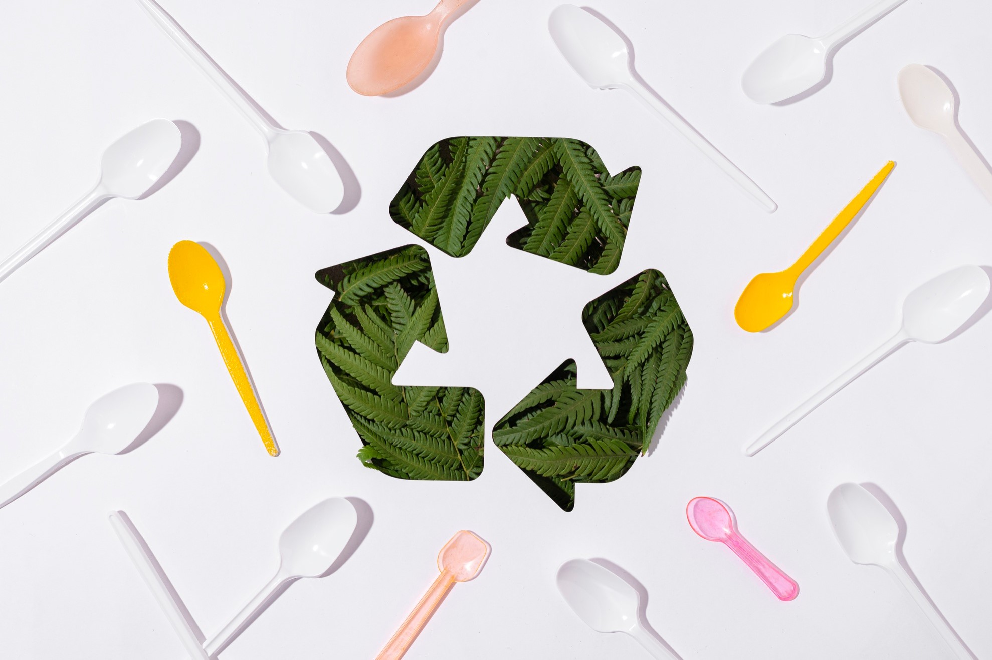 Are biodegradable plastics truly better for the planet? Explore the facts behind eco packaging, sustainable alternatives, and what makes a product genuinely green.